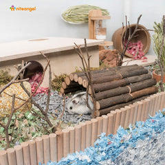 Niteangel puente-escala para ratón, se adapta a jaulas y rutas.