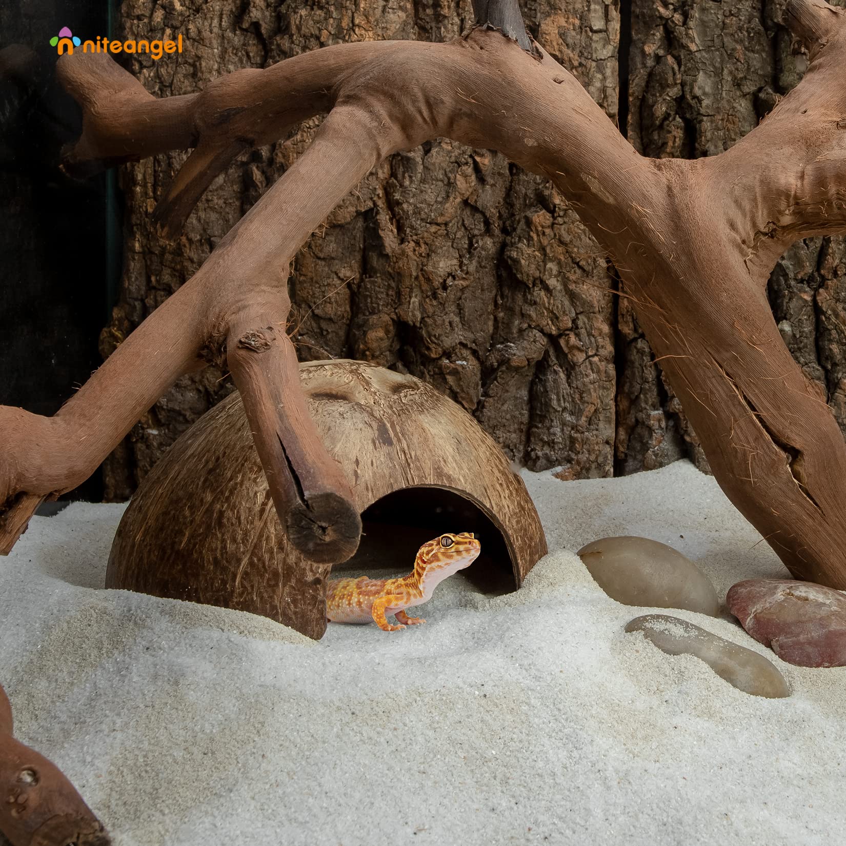 Niteangel refugio de coco natural para reptiles, ocultamiento lateral cómodo.