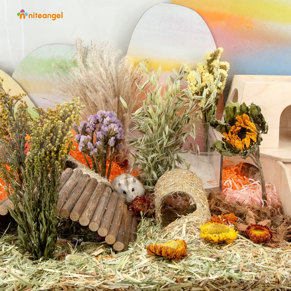 Niteangel regalo natural para mascotas: flores secas que aportan color y novedad.