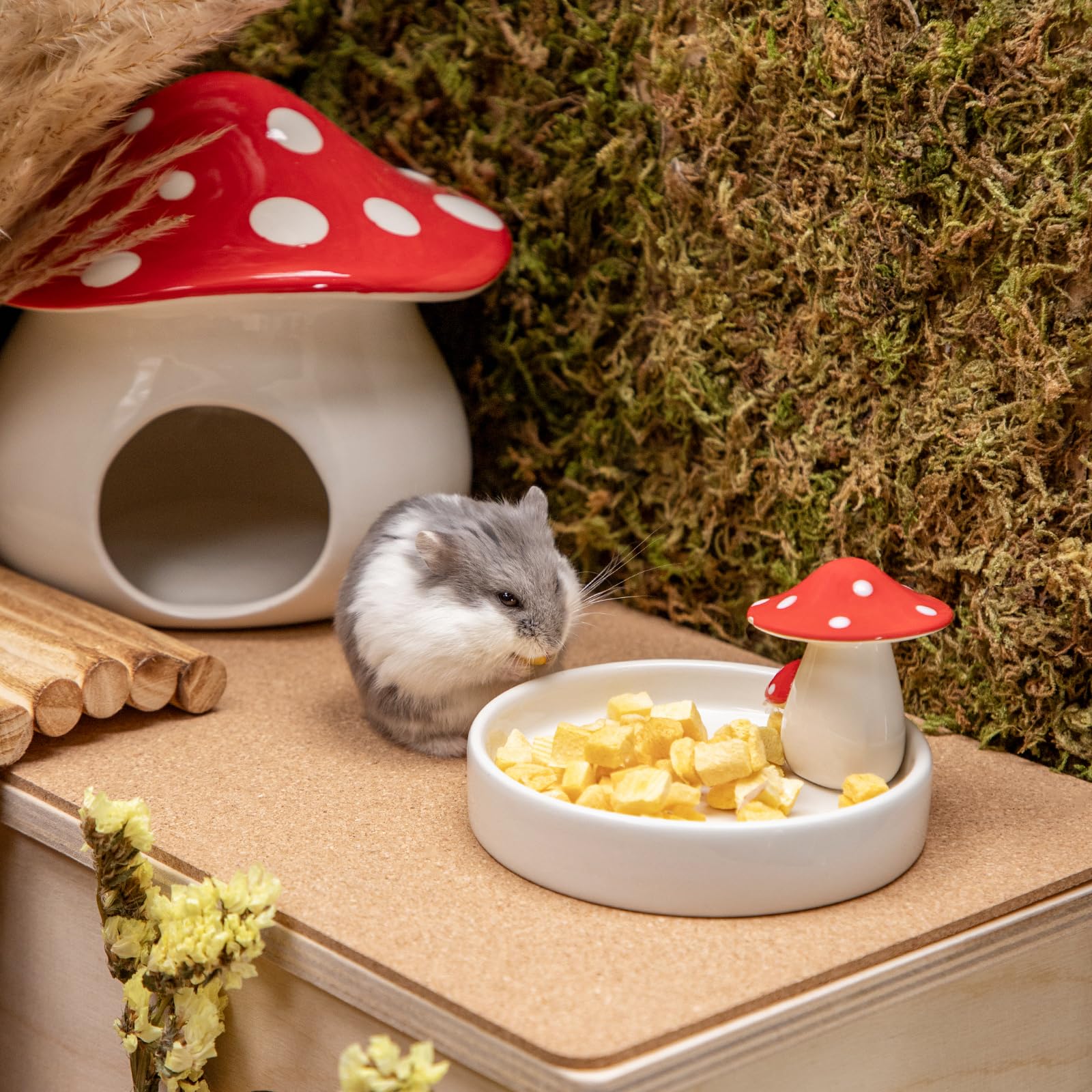 Niteangel sin aditivos: snack natural para pequeños animales, ideal para premiar momentos de juego.