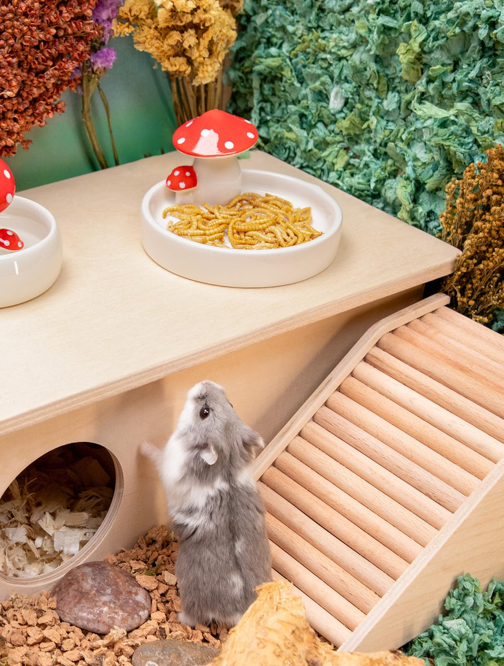 Niteangel snack para aves: premio sabroso para aves pequeñas y curiosas.