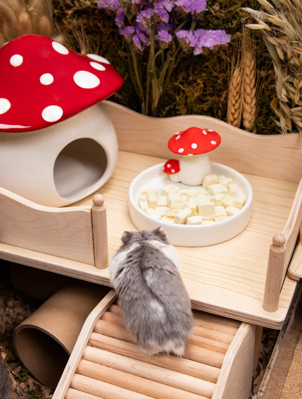 Niteangel snacks multi-especie: apto para hamsters, gerbos y otros roedores pequeños.