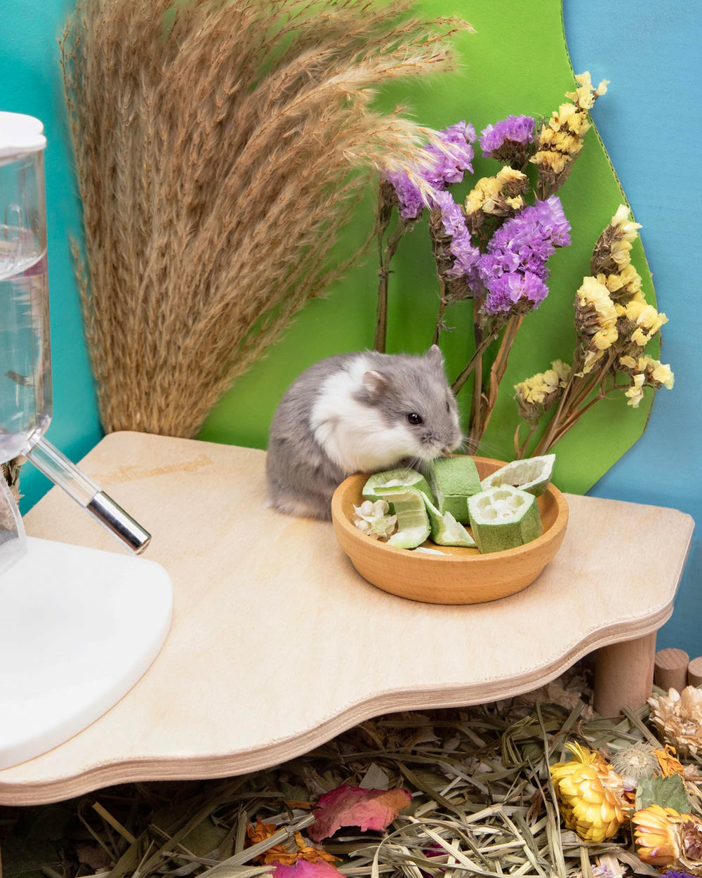Presentación en cuenco de snacks de okra, aptos para varias mascotas pequeñas.