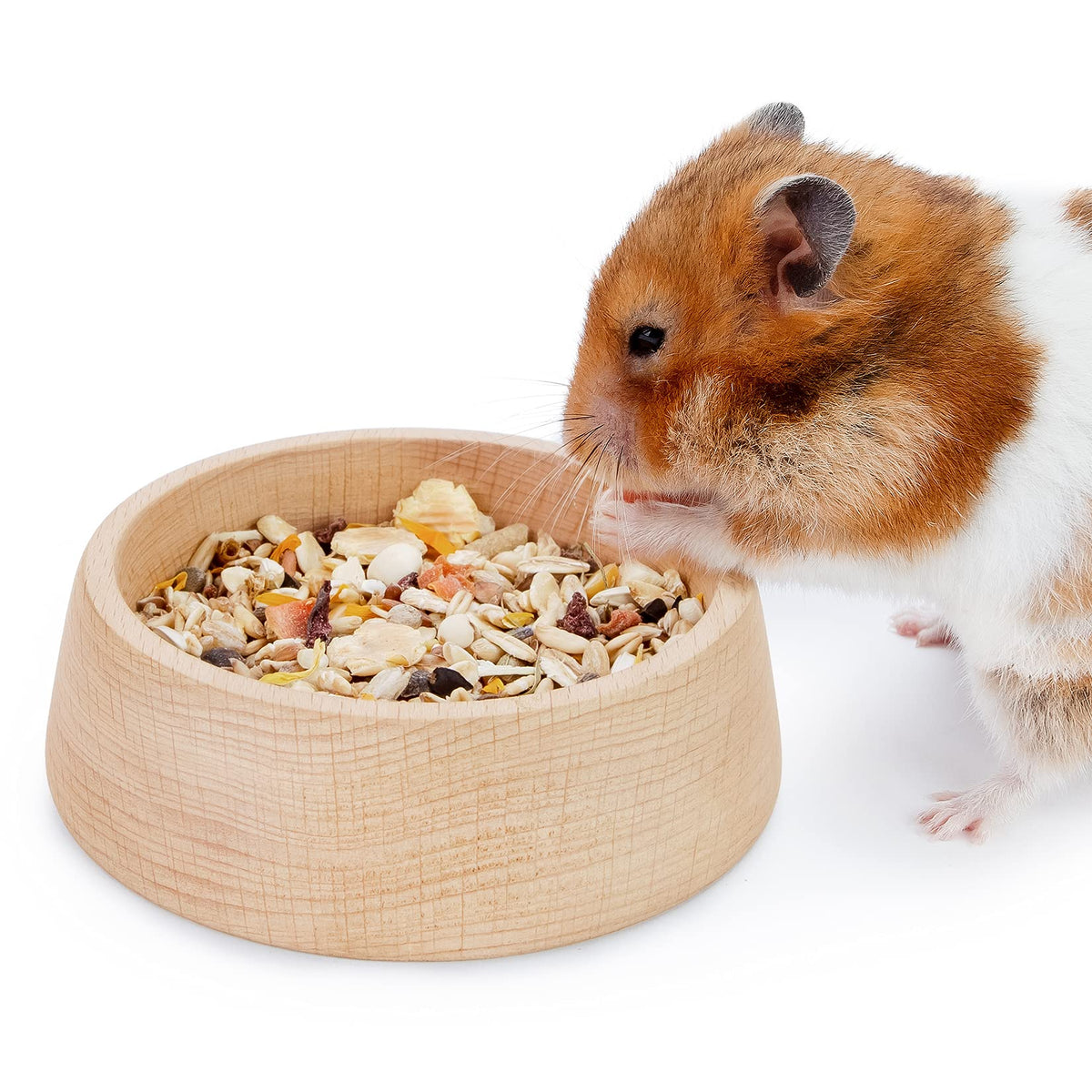 Niteangel tazón para hámster con Patrón Hammy, ideal para hámster sirio