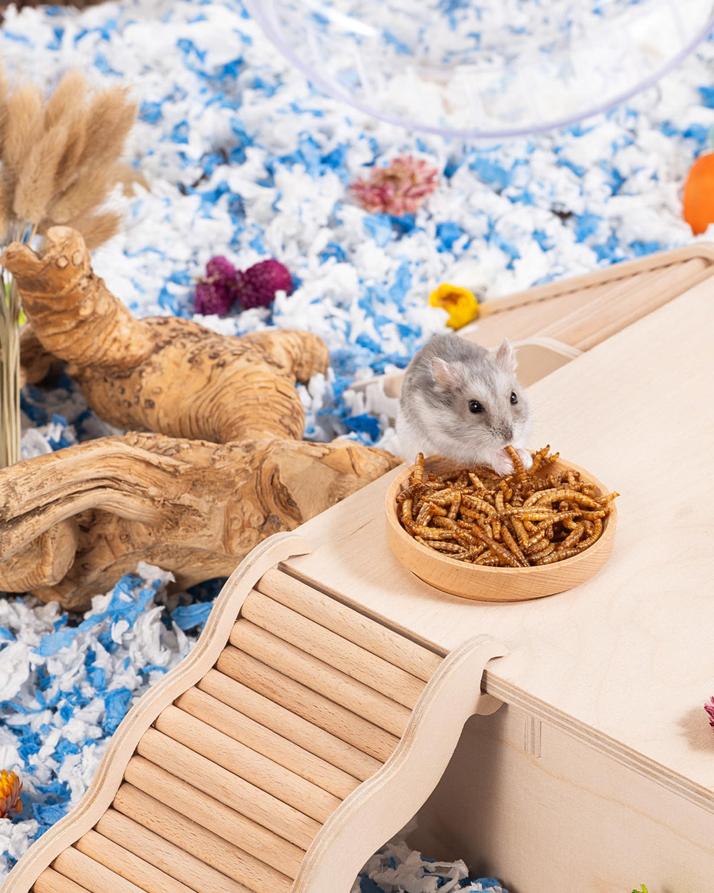 Niteangel tentempiés para aves, premios naturales que complementan su dieta.
