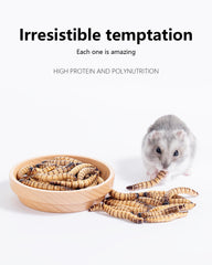 Golosinas Niteangel para jerbos: delicia natural que complementa una dieta equilibrada.