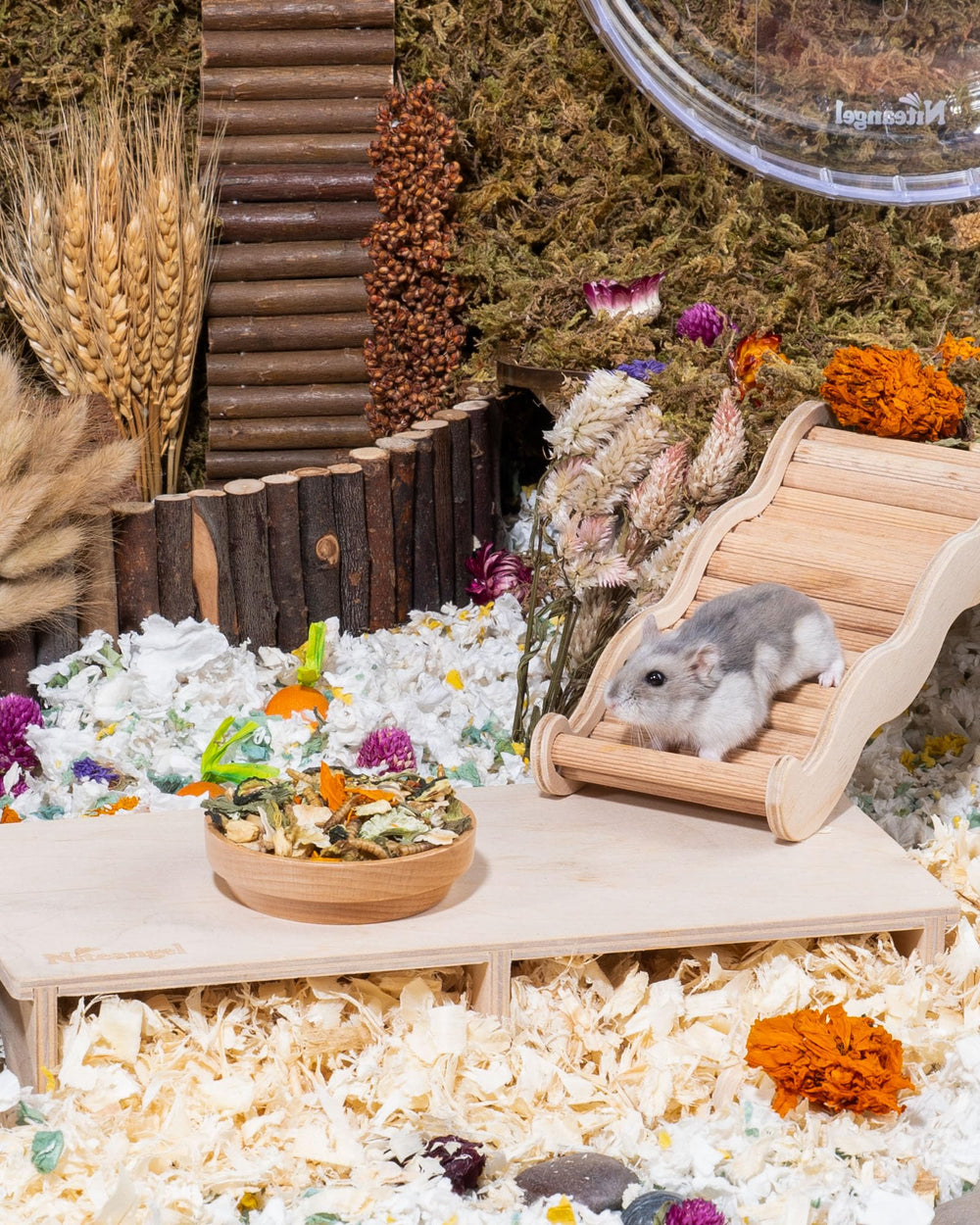 Niteangel trozos nutritivos que promueven la masticación y el entretenimiento.