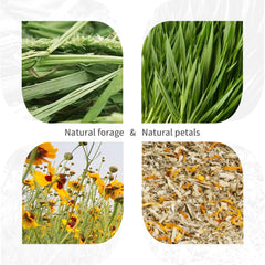 Niteangel tubos de celulosa naturales con caléndula aromática para masticar