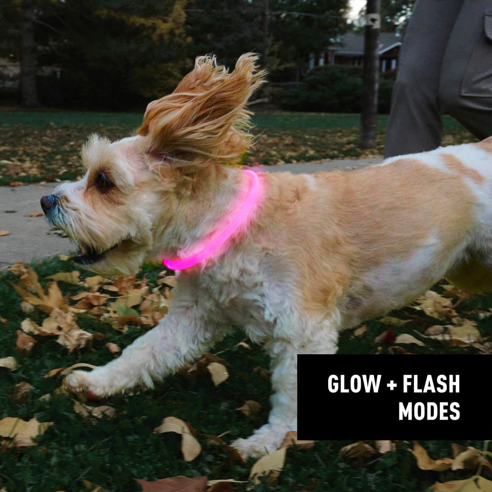 NiteHowl: diseño flexible para comodidad durante caminatas largas.
