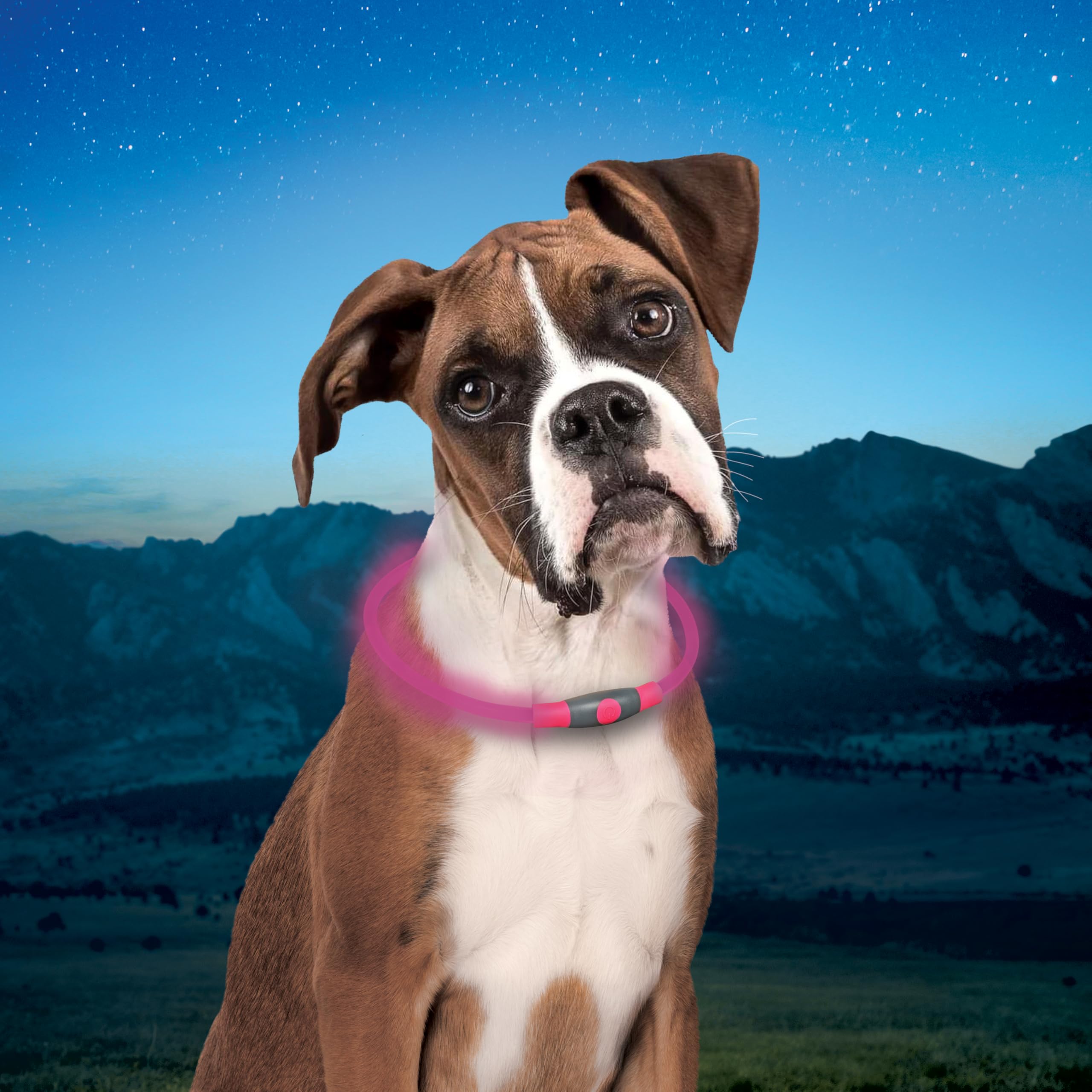 NiteHowl: recomendado para perros de talla media y grande.