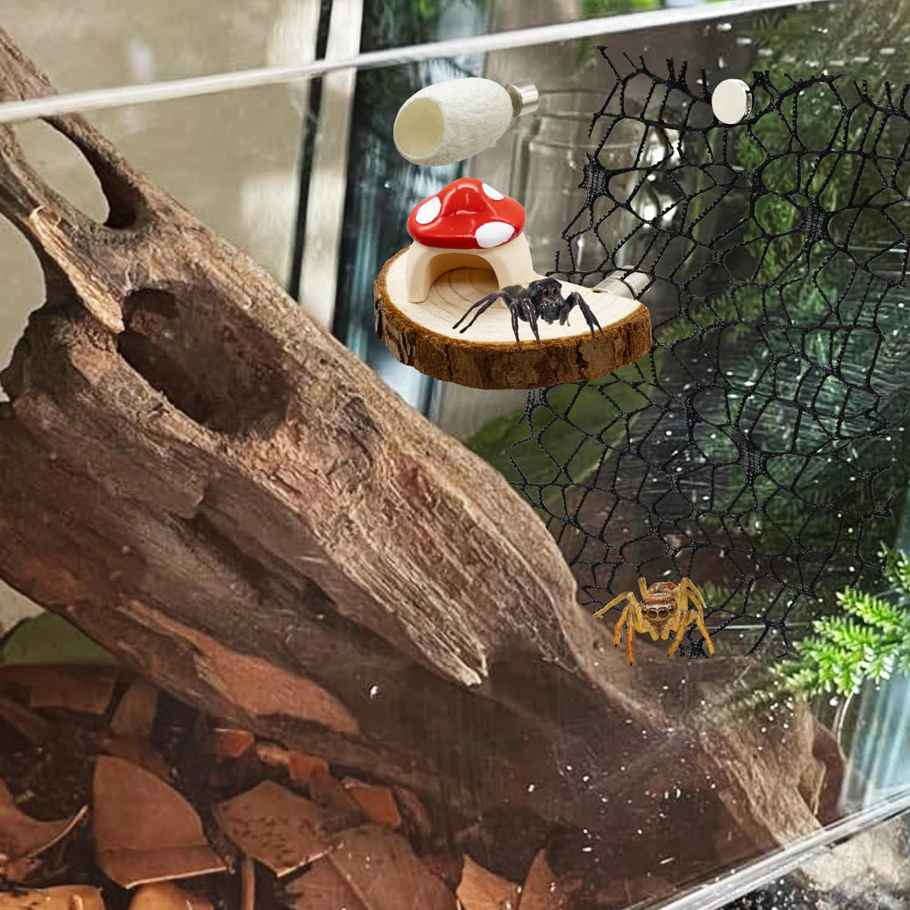 Niuohoy enriquecimiento terrario: combinaciones para explorar y trepar.