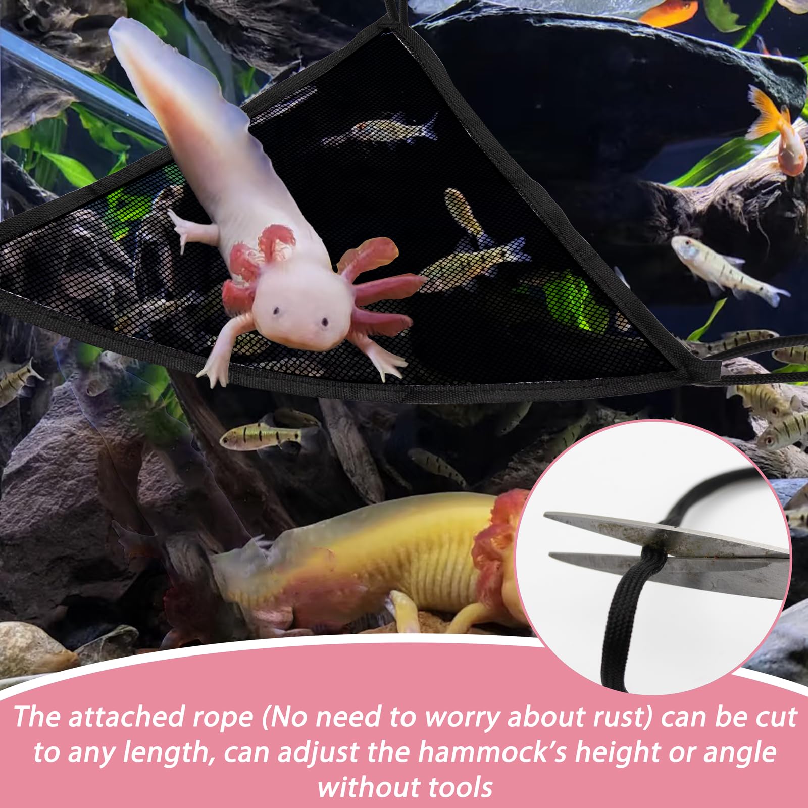 Niuohoy hamaca para axolotl, opción de descanso dentro del terrario