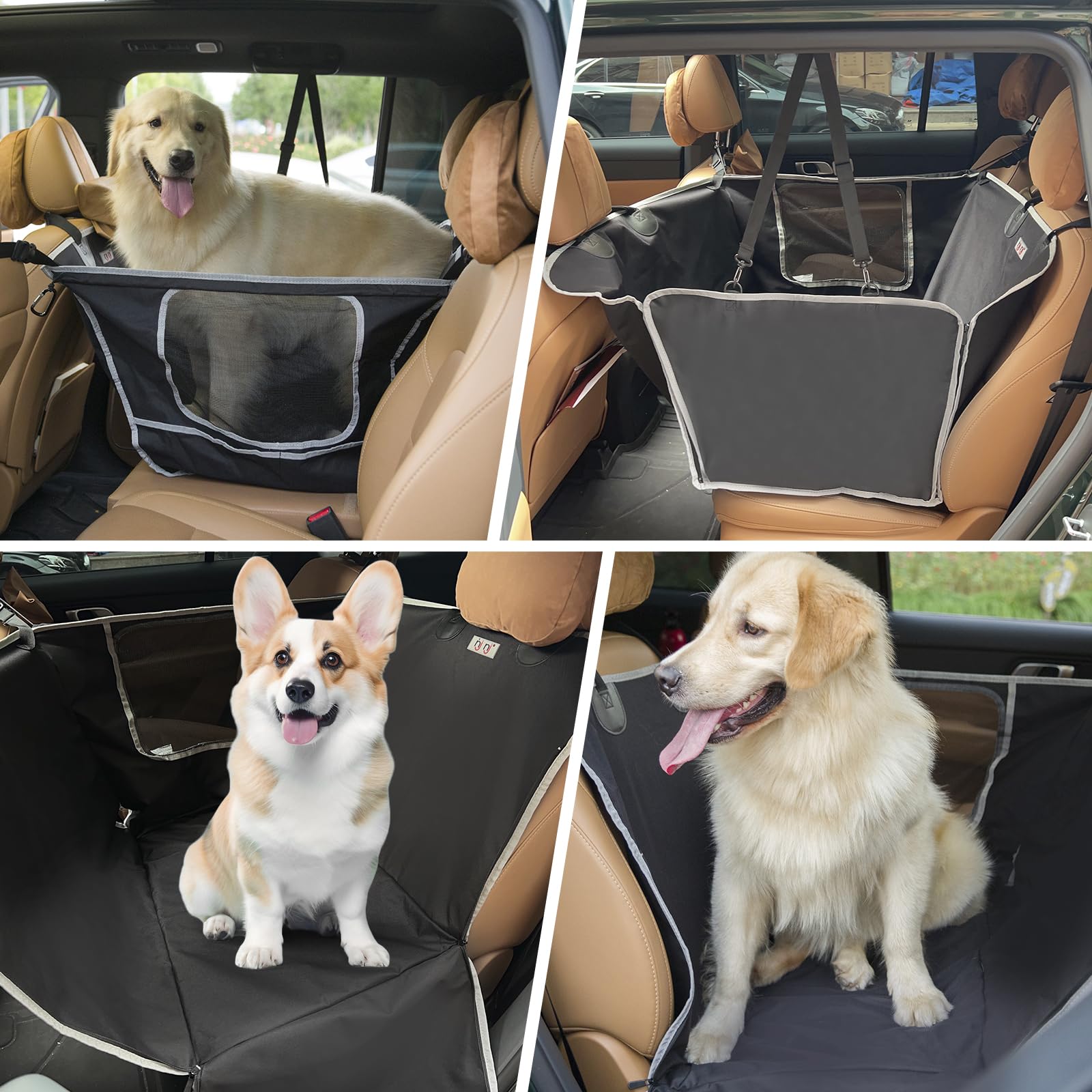 njnj uso-diferentes-tamanos-perros permite viajar con perros pequeños a grandes