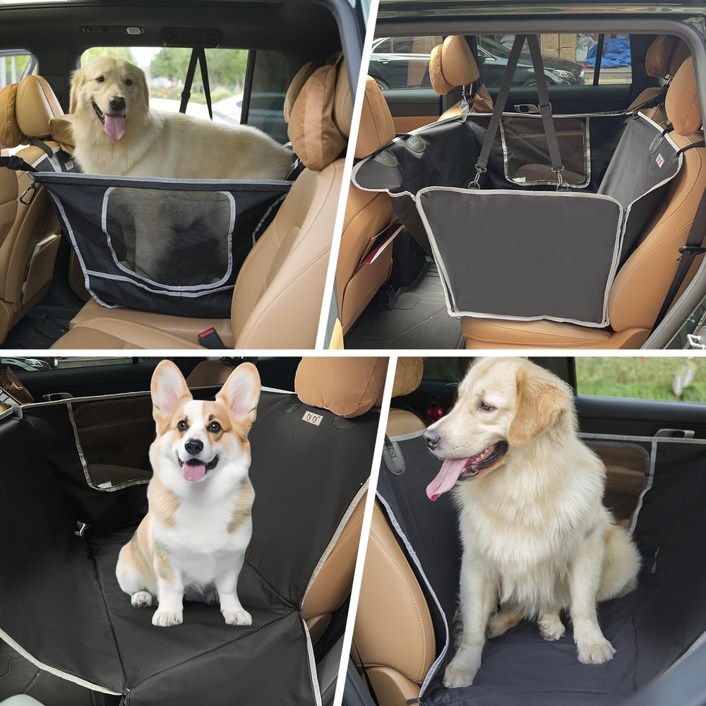 njnj uso-diferentes-tamanos-perros permite viajar con perros pequeños a grandes