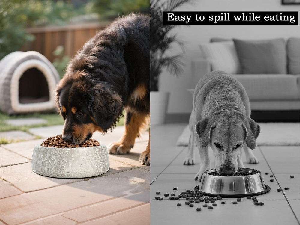 N NANSHOP contenedor almacenamiento de comida para perros marmol práctico y higiénico