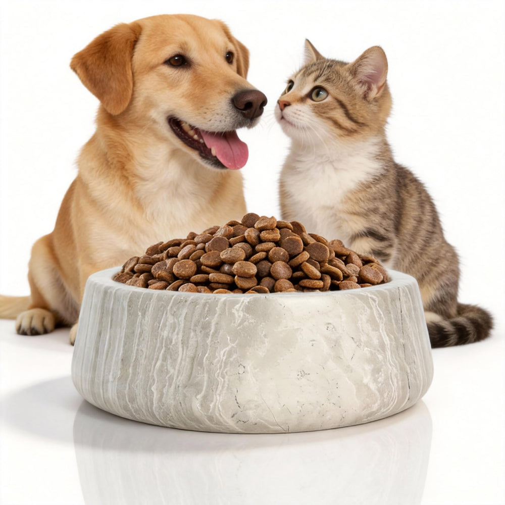 N NANSHOP plato de perro marmol antideslizante para comer sin derrames