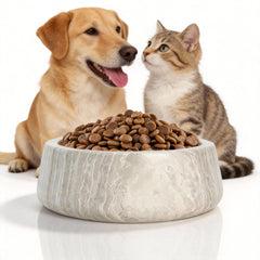 N NANSHOP plato de perro marmol antideslizante para comer sin derrames