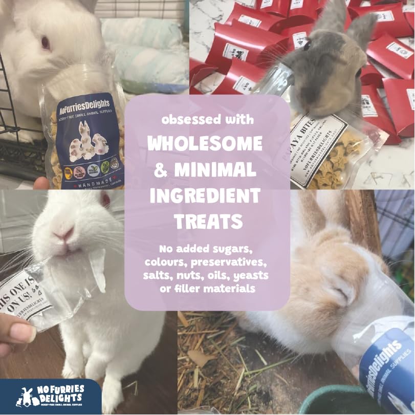 No Furries Delights Premium Forage Mix, chinchilla explorando textura crujiente.