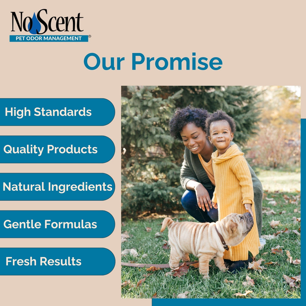 No Scent refresca diariamente, ideal para espacios comerciales y viajes.