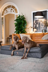 NOAH & PAW cama gigante XXL con refuerzos de 5 pulgadas para mayor contención