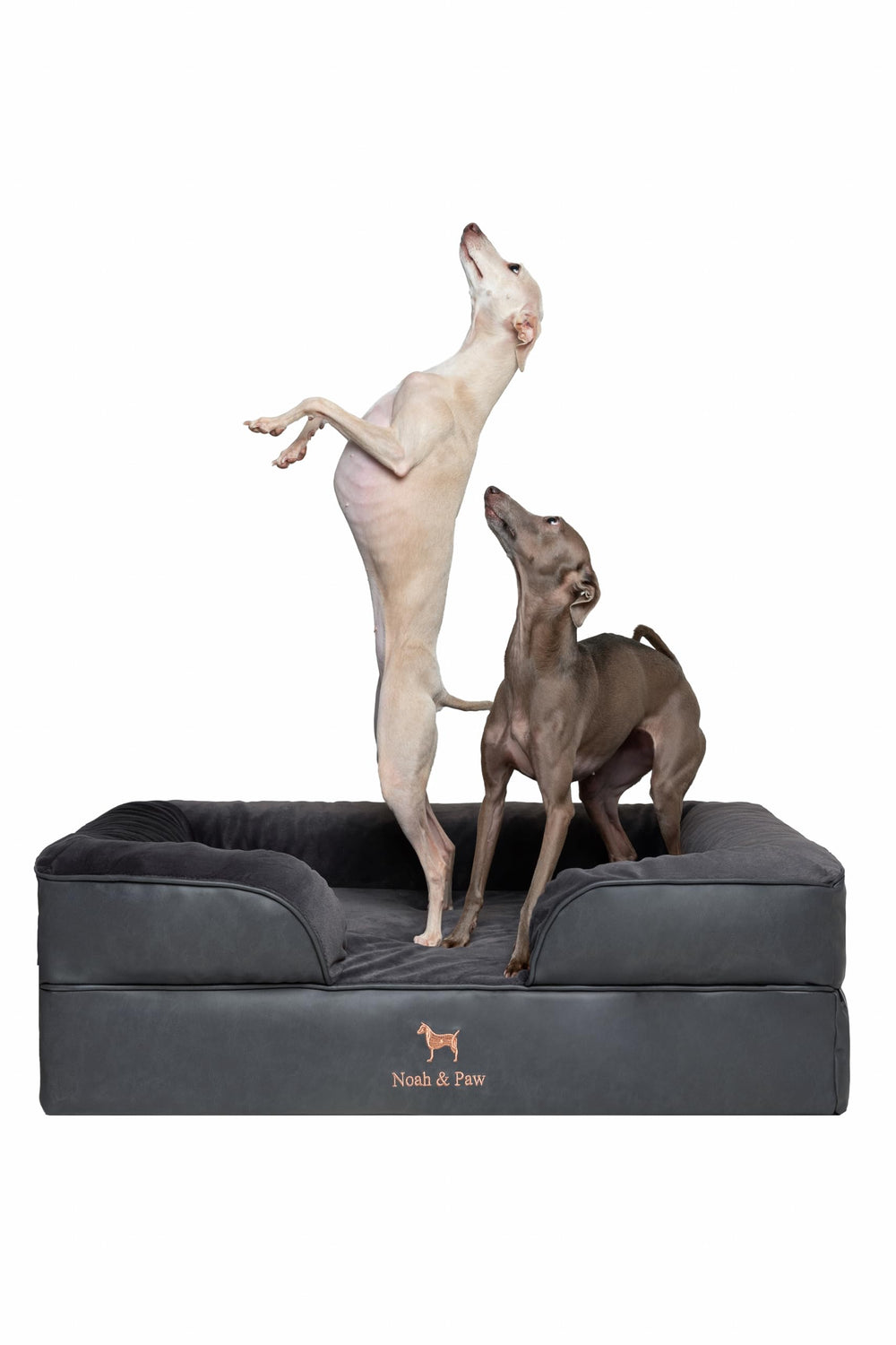 NOAH & PAW cama ortopédica para perros grandes, soporte estable para articulaciones.