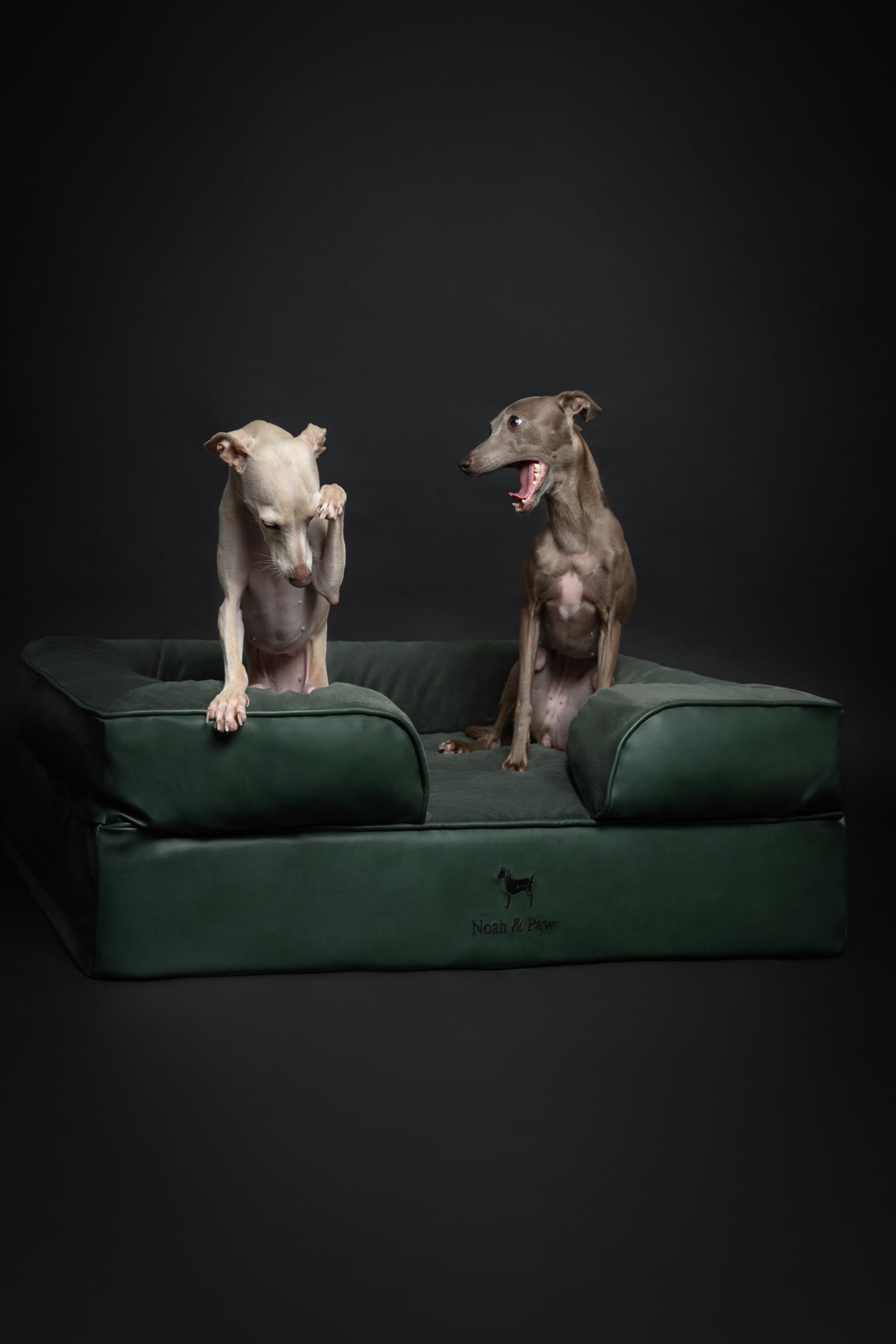 NOAH & PAW cama ortopédica para perros grandes, funda exterior lavable.