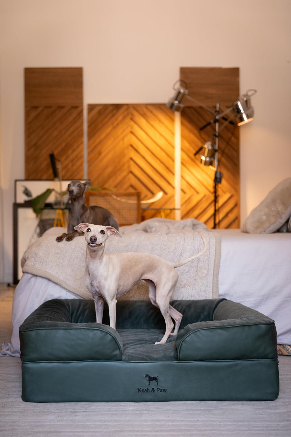 NOAH & PAW cama ortopédica para perros grandes, funda interior lavable.