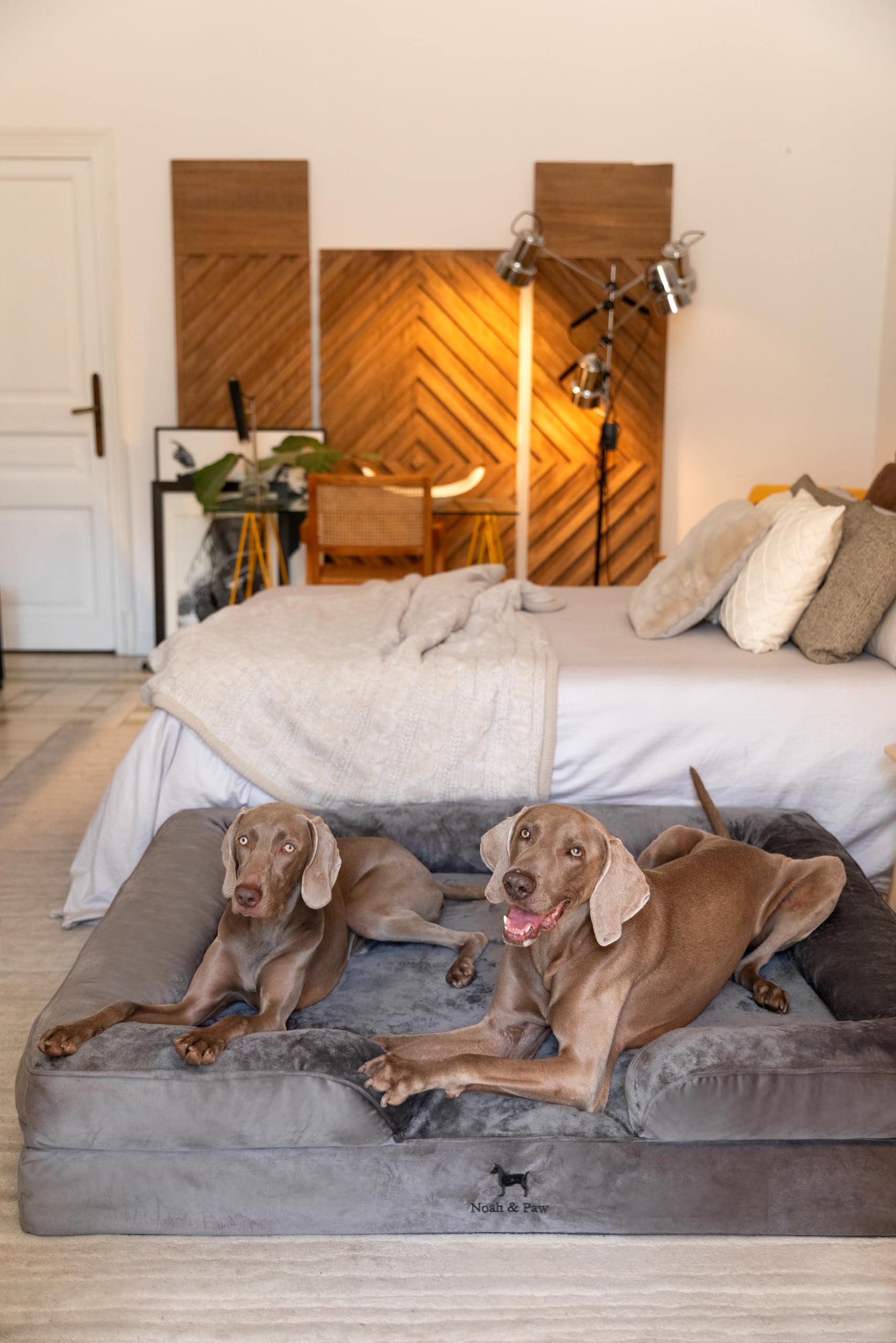 Borde elevado ergonómico NOAH & PAW para contención suave