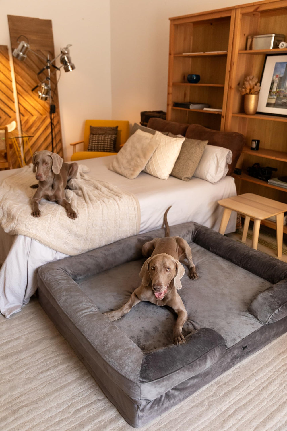 Dimensiones XXL 55x45x11 NOAH & PAW para perros grandes
