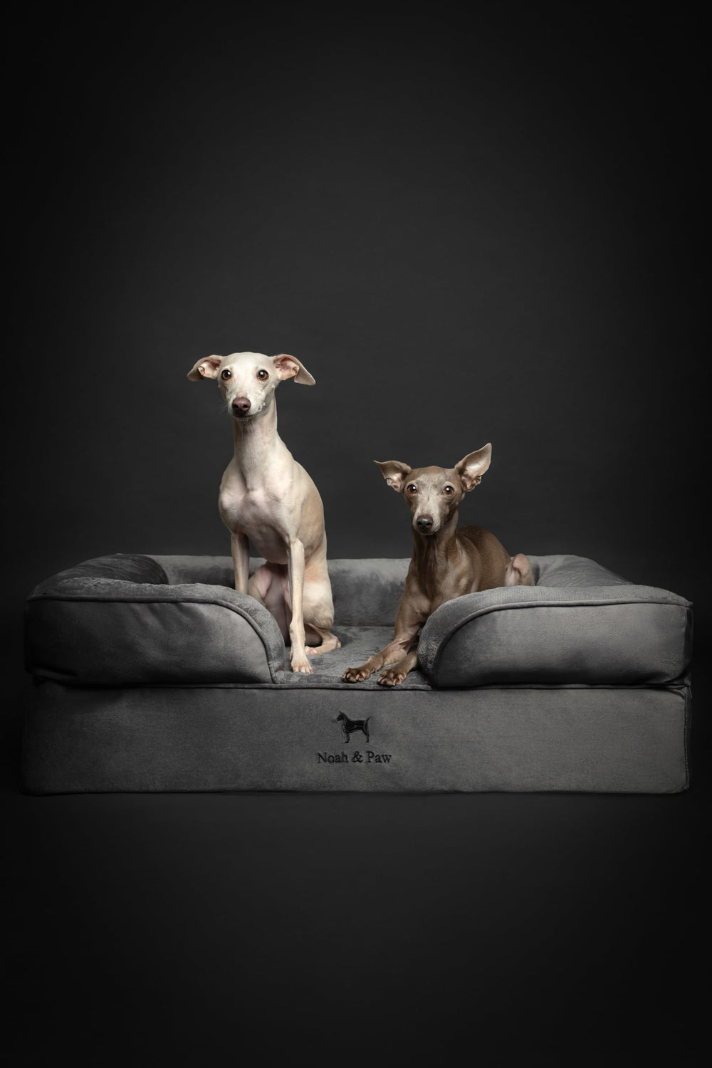 NOAH & PAW Velvet Collection cama para salón y confort