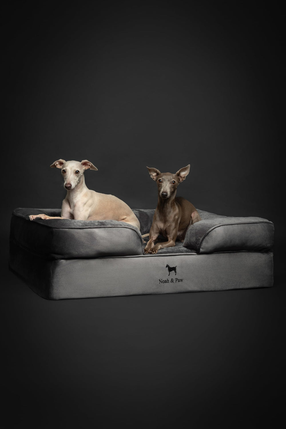 Cama NOAH & PAW para uso diario en hogares con perros grandes