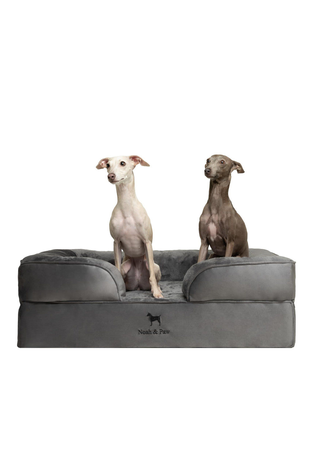 Cama NOAH & PAW para perros grandes con espuma memoria y soporte