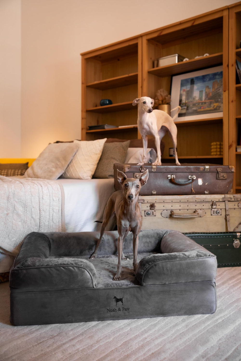 Cama NOAH & PAW con funda impermeable y lavable para higiene