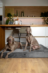 NOAH & PAW impermeable con doble funda lavable para limpieza fácil.