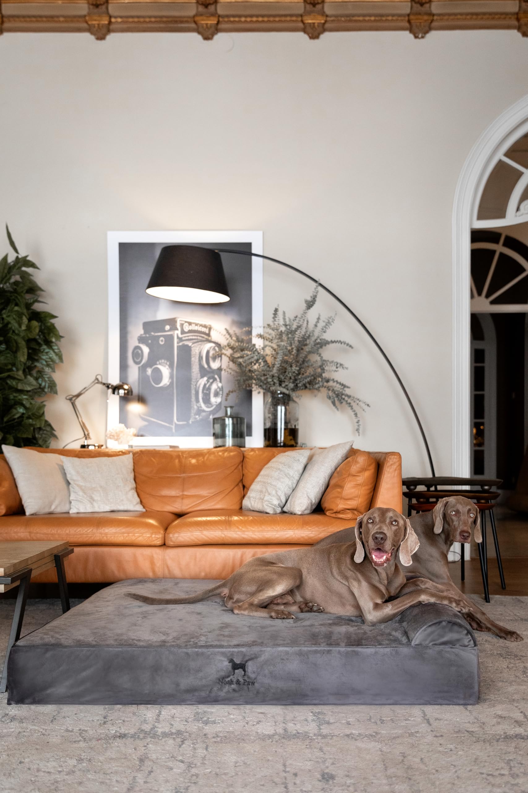 NOAH & PAW XXL de 139×114 cm, ideal para perros grandes.