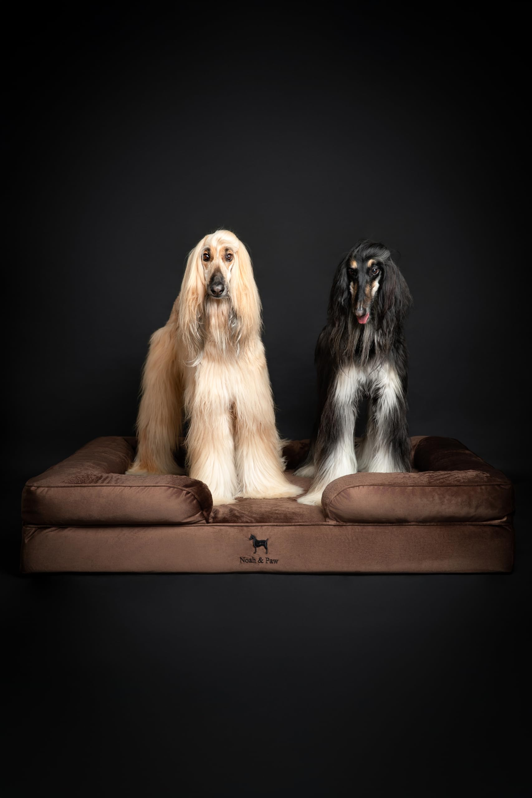NOAH & PAW Cama XXL, espuma de cáscara de huevo con gel y consuelo firme.