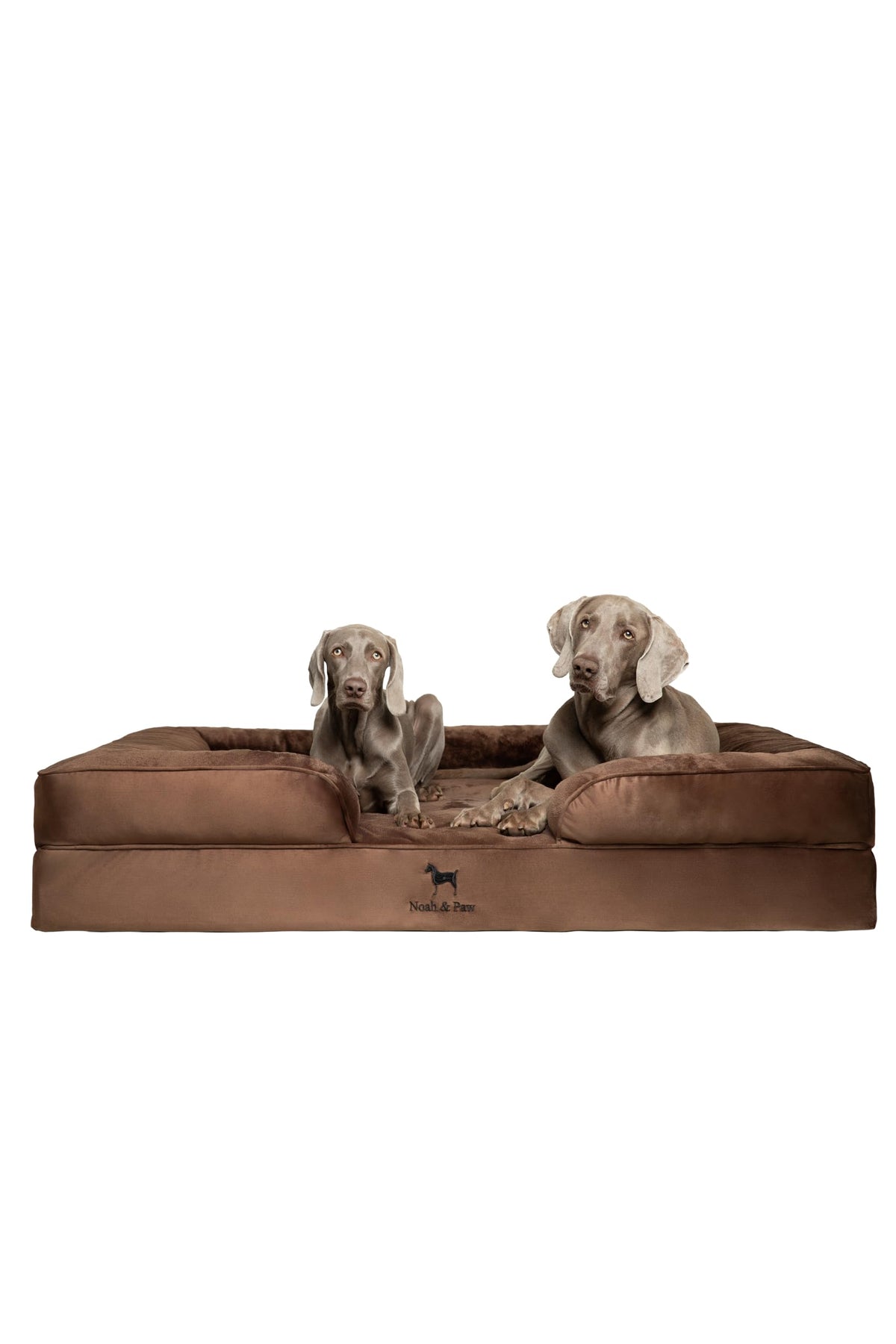 NOAH & PAW Cama XXL, vista frontal, soporte ortopédico para perros grandes.