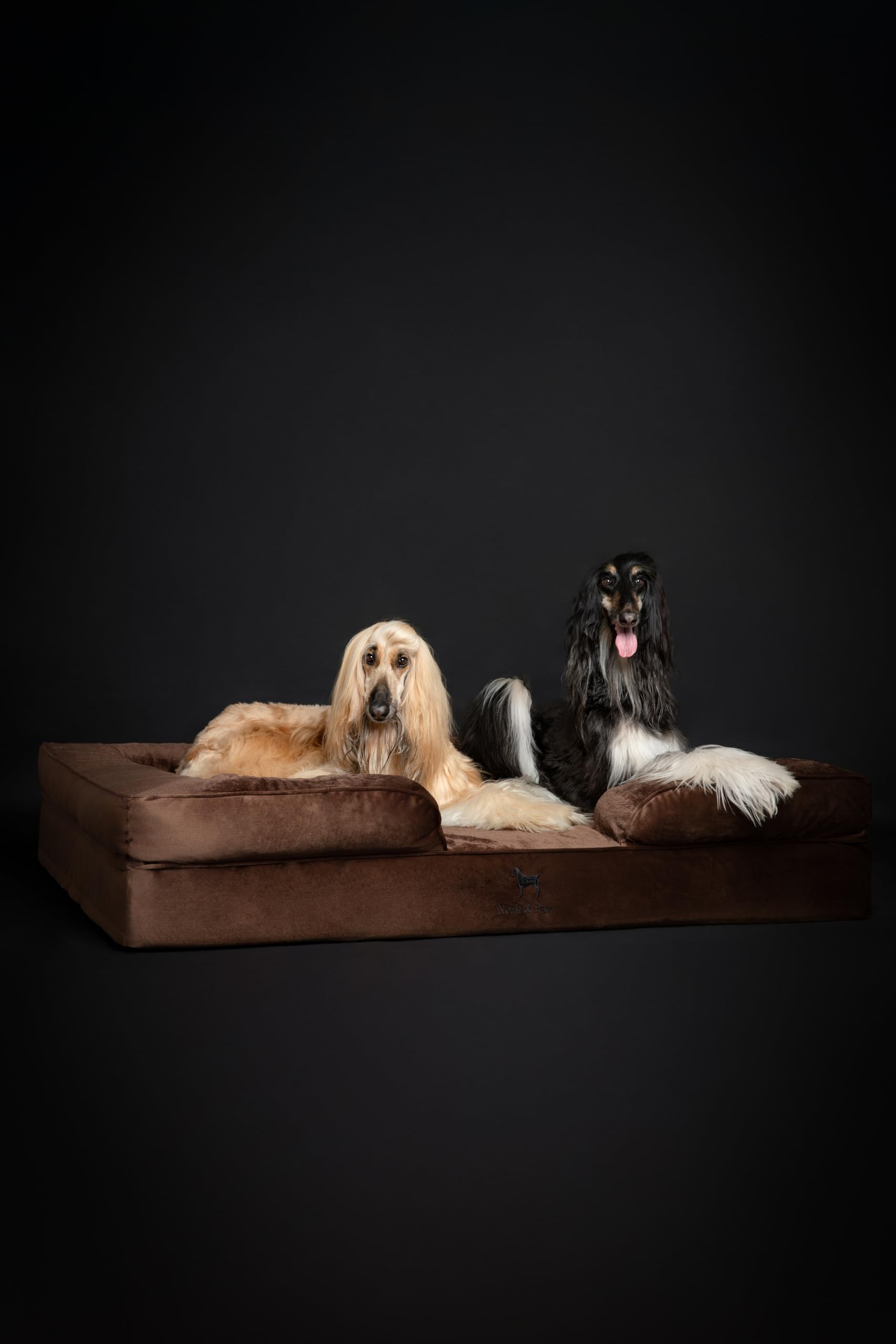 NOAH & PAW Cama XXL, funda impermeable para limpieza sencilla.