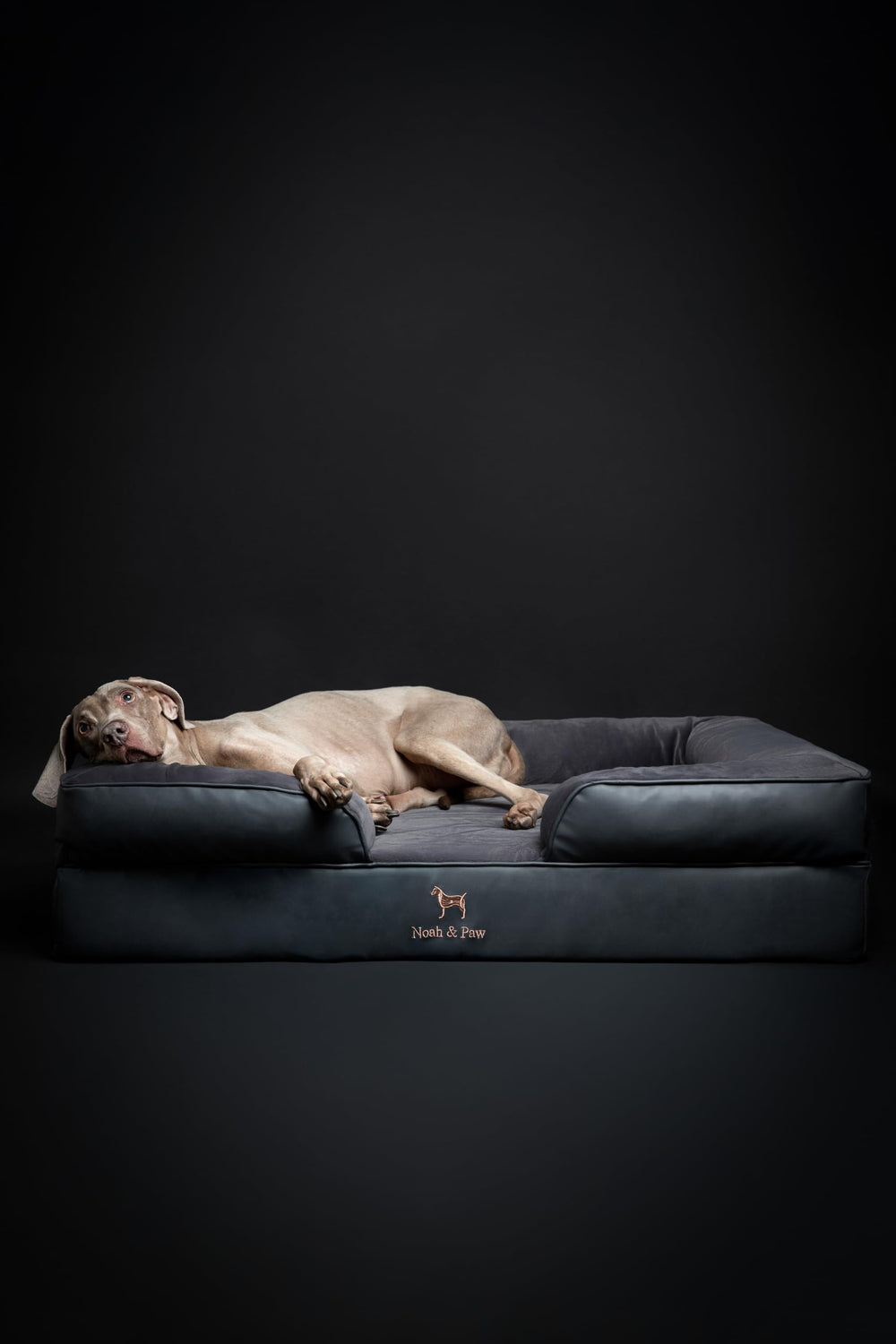 Cama NOAH & PAW XL, impermeable para mascotas activas.