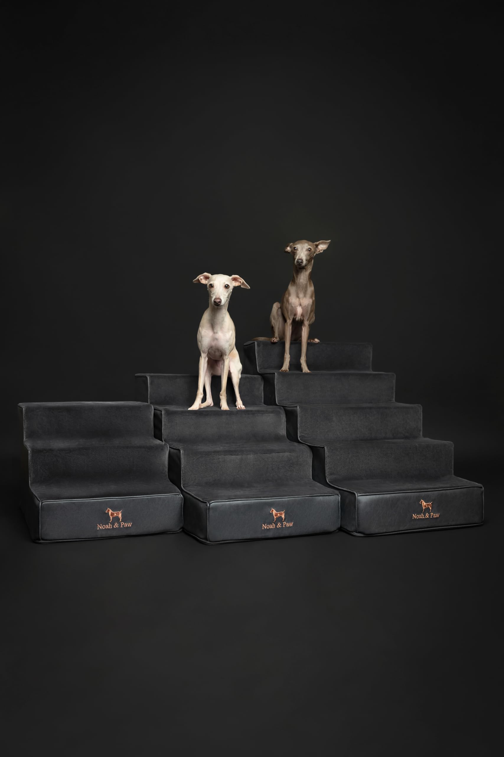 NOAH & PAW cierre cremallera 10 mm funda removible