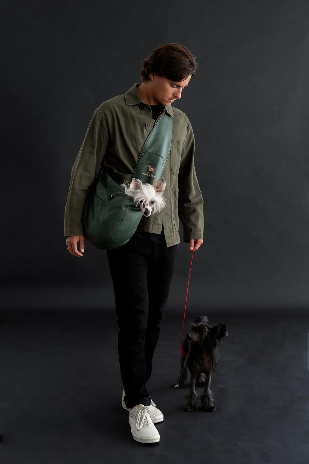 Noah y Paw compatible con gatos pequeños para transporte seguro y ligero.