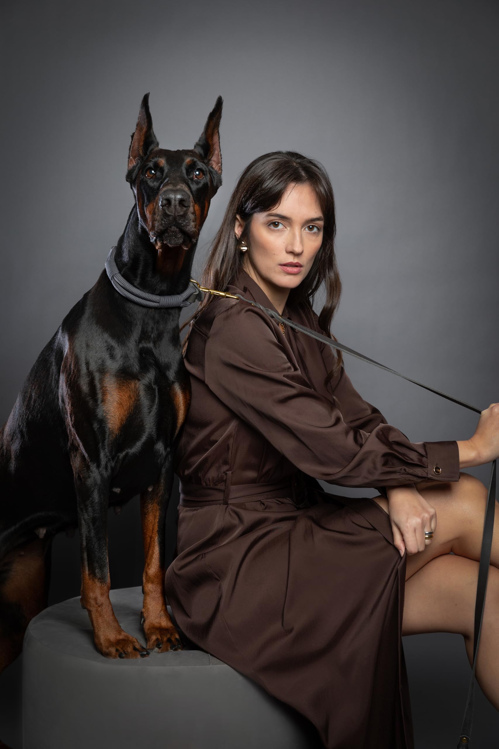 Ajuste seguro con NOAH & PAW, fácil de adaptar.