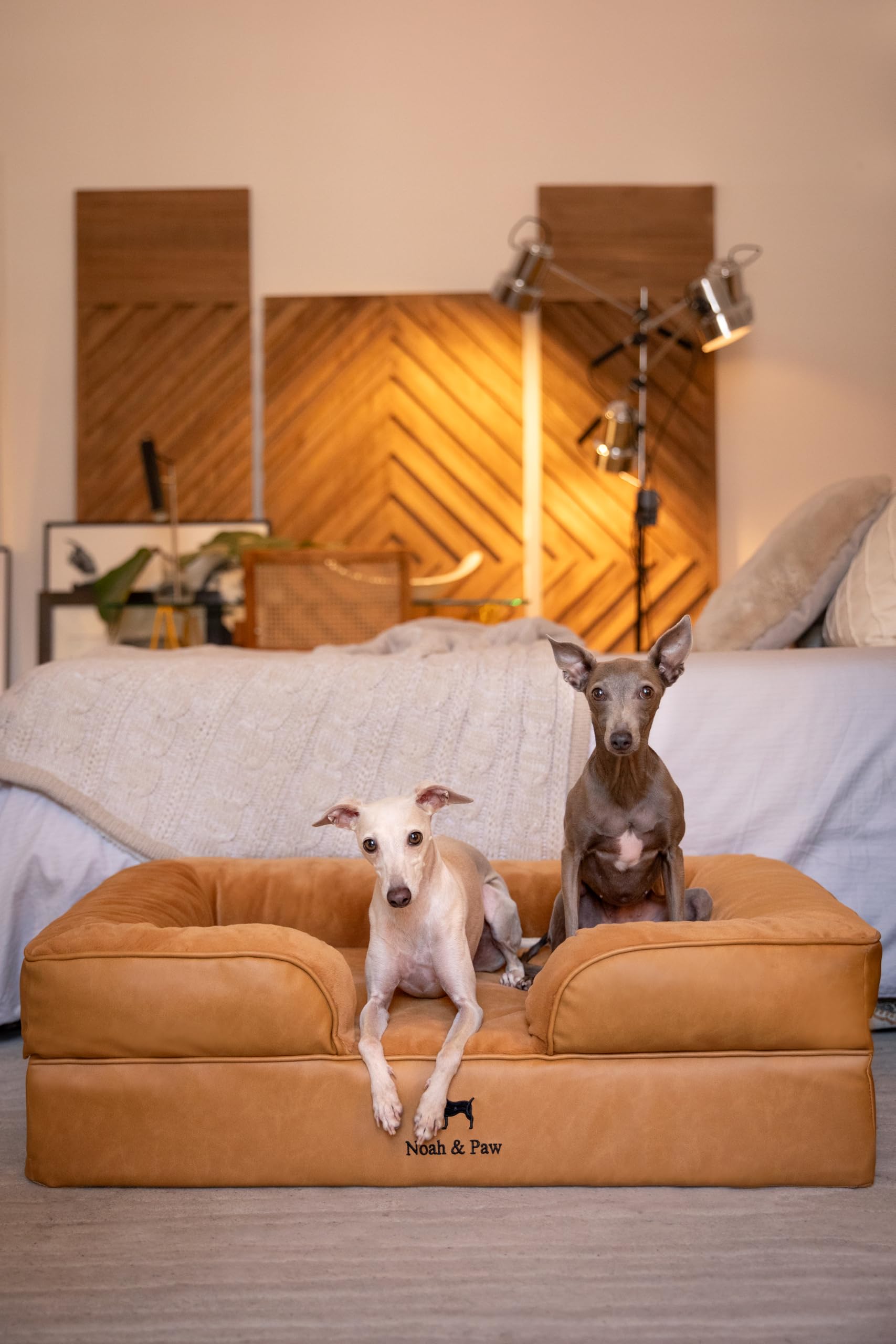 NOAH & PAW dimensiones 35x25x11 cama-perro ideal para razas grandes.