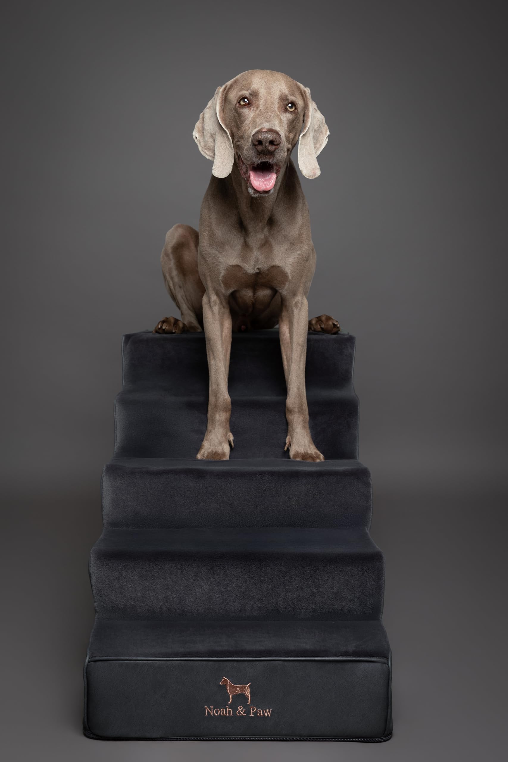 NOAH & PAW escalera 17 pulgadas adecuada para camas medias