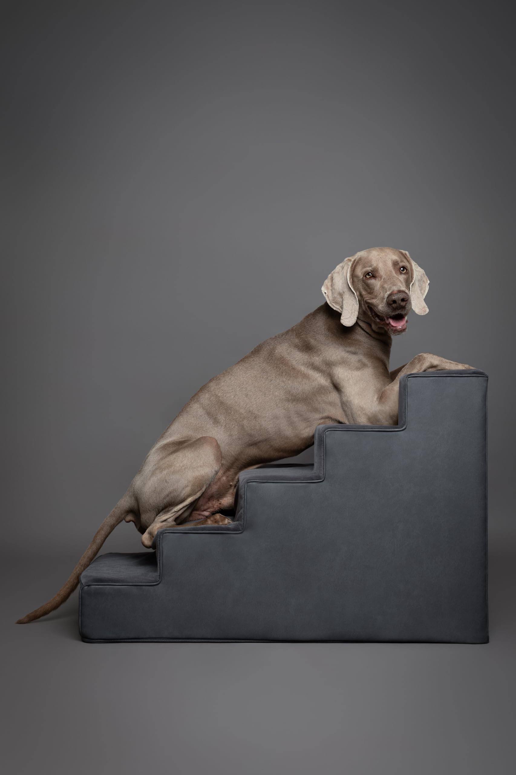 NOAH & PAW escalera 20 pulgadas ideal para camas altas
