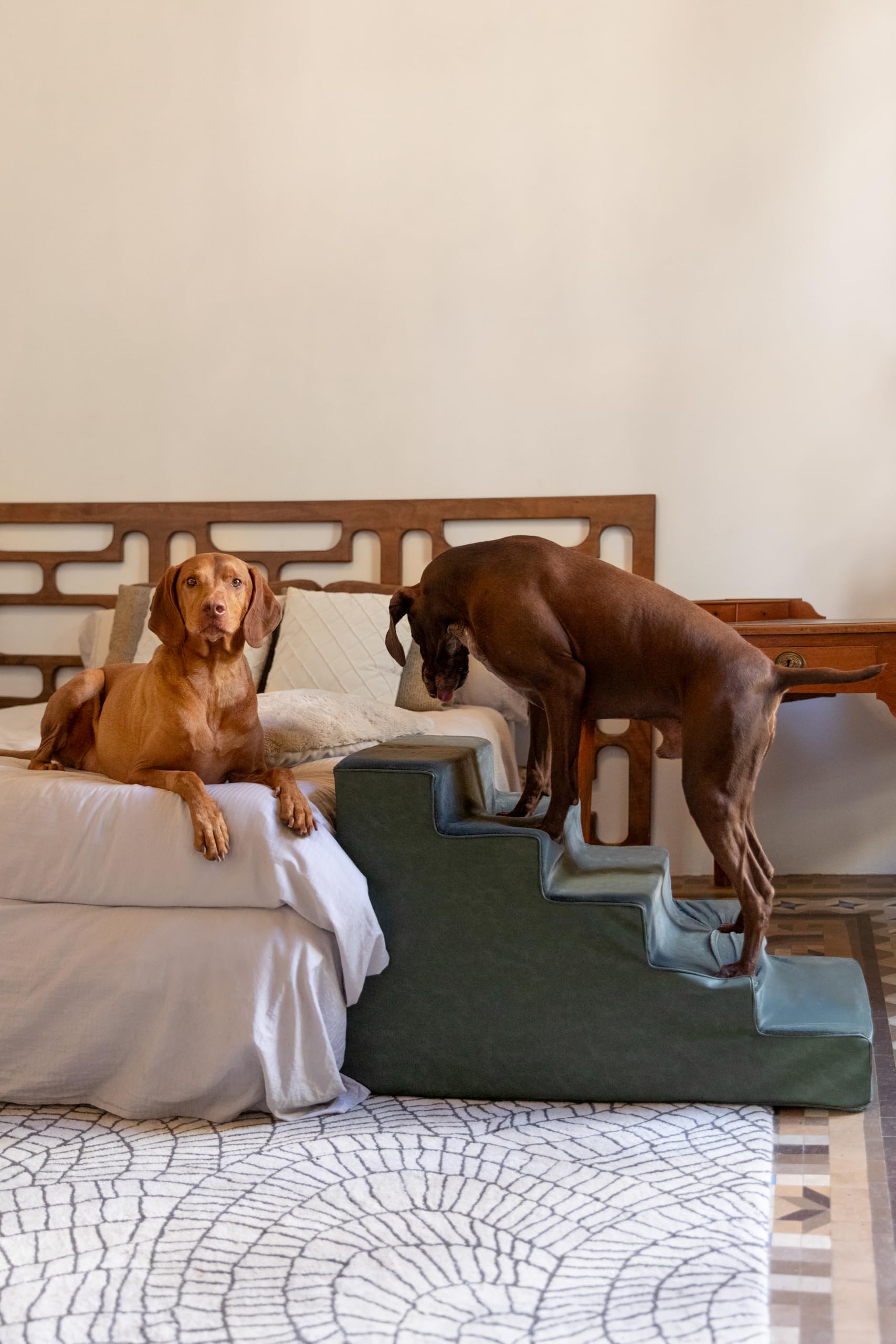 NOAH & PAW escaleras-espuma-densidad-35: soporte estable para subir