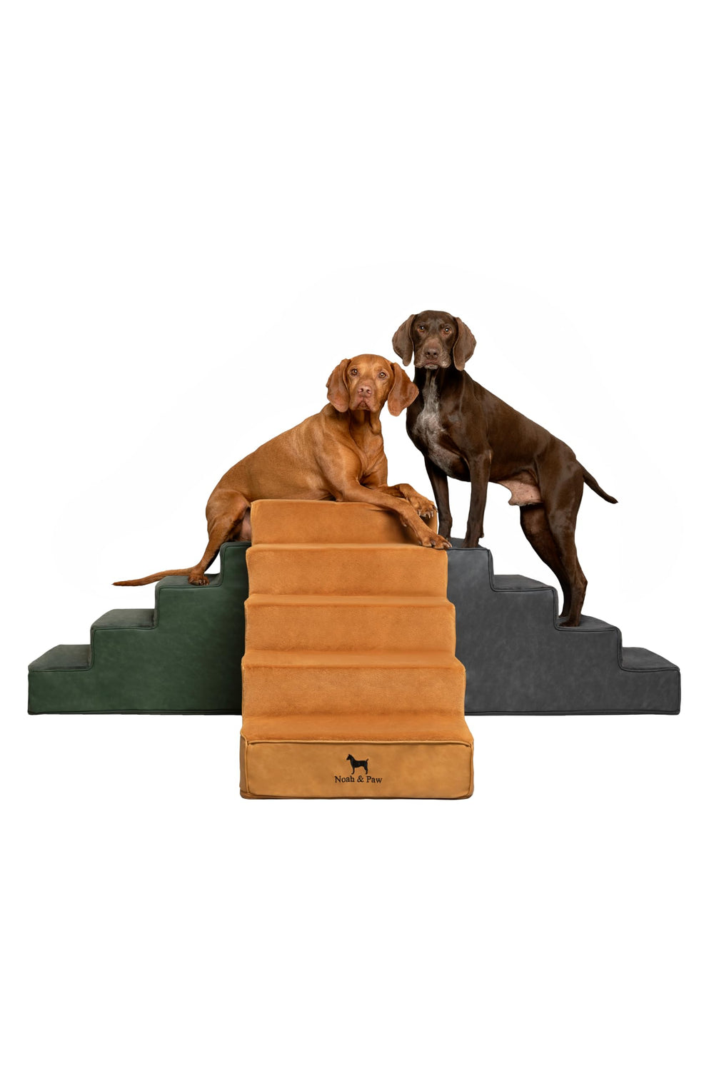 Noah & Paw escalera para perro sobre cama de 20 pulgadas, estable y cómoda