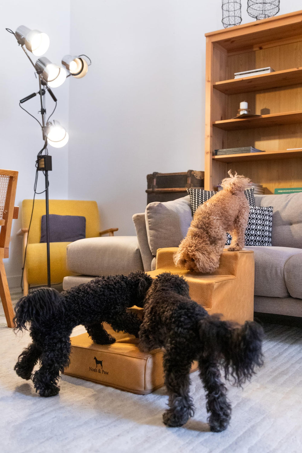 Noa & Paw cubierta removible con cremallera para lavado fácil