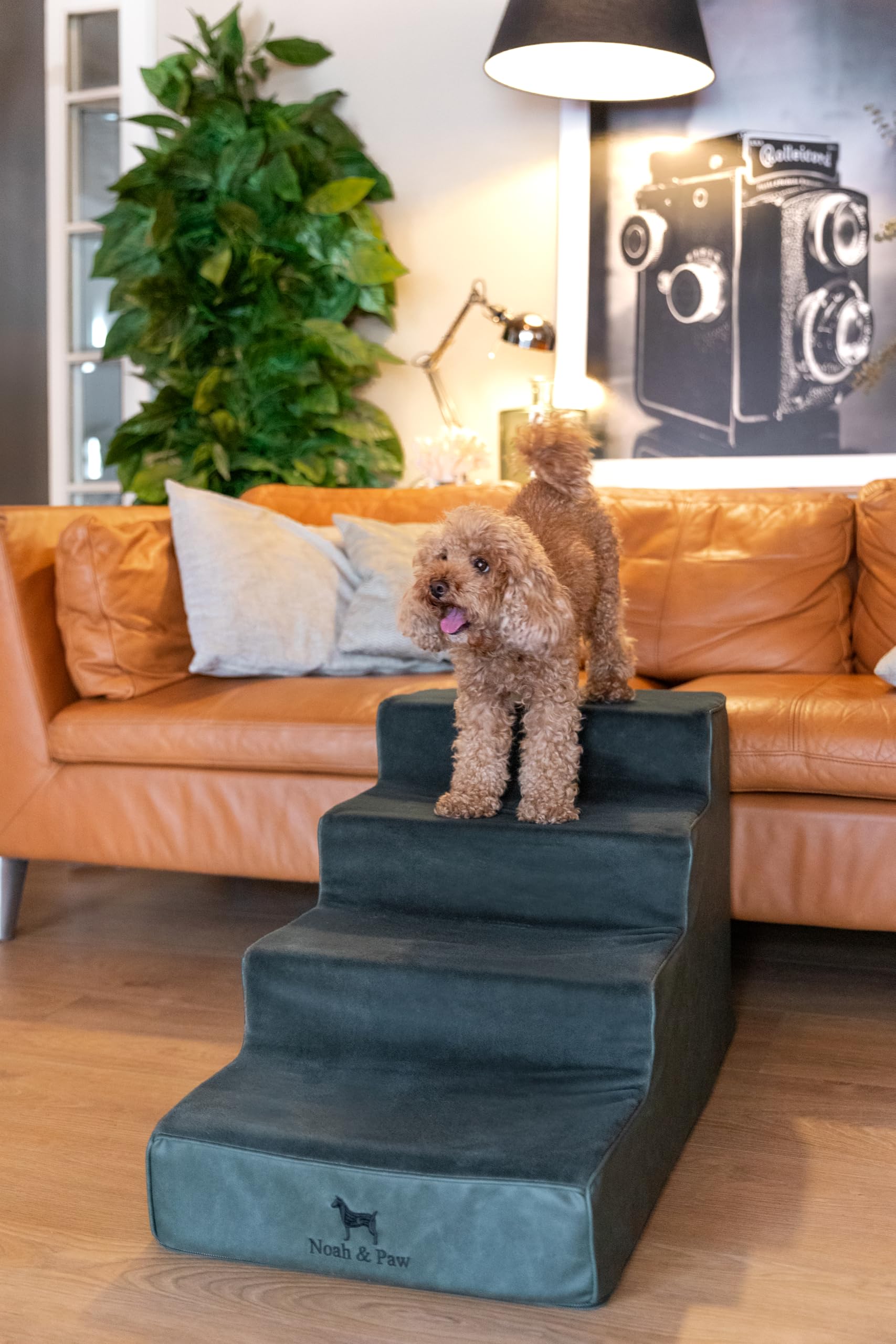 Noah & Paw escaleras de cuero vegano, diseño elegante para cualquier sala.