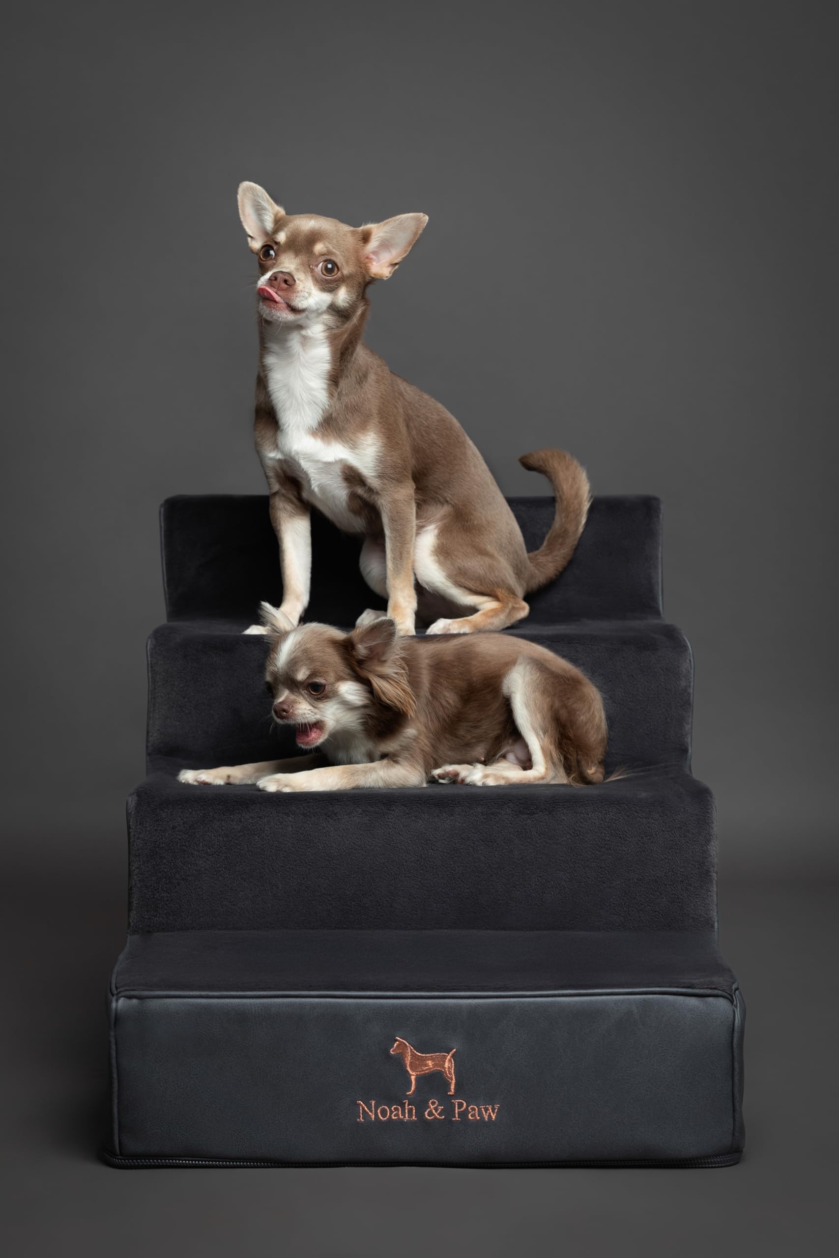 Noah & Paw funda desmontable y lavable para higiene.